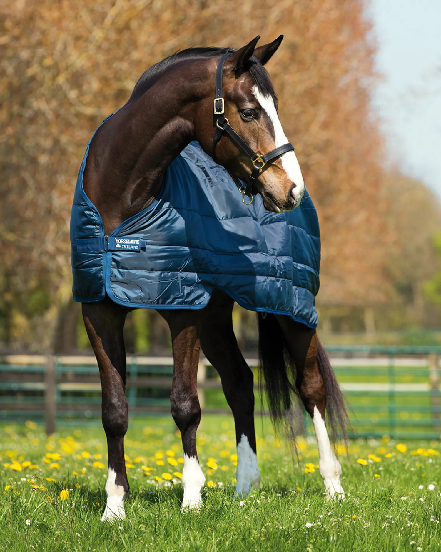 HORSEWARE ® Ireland 300 Gram Blanket Liner Navy/Navy