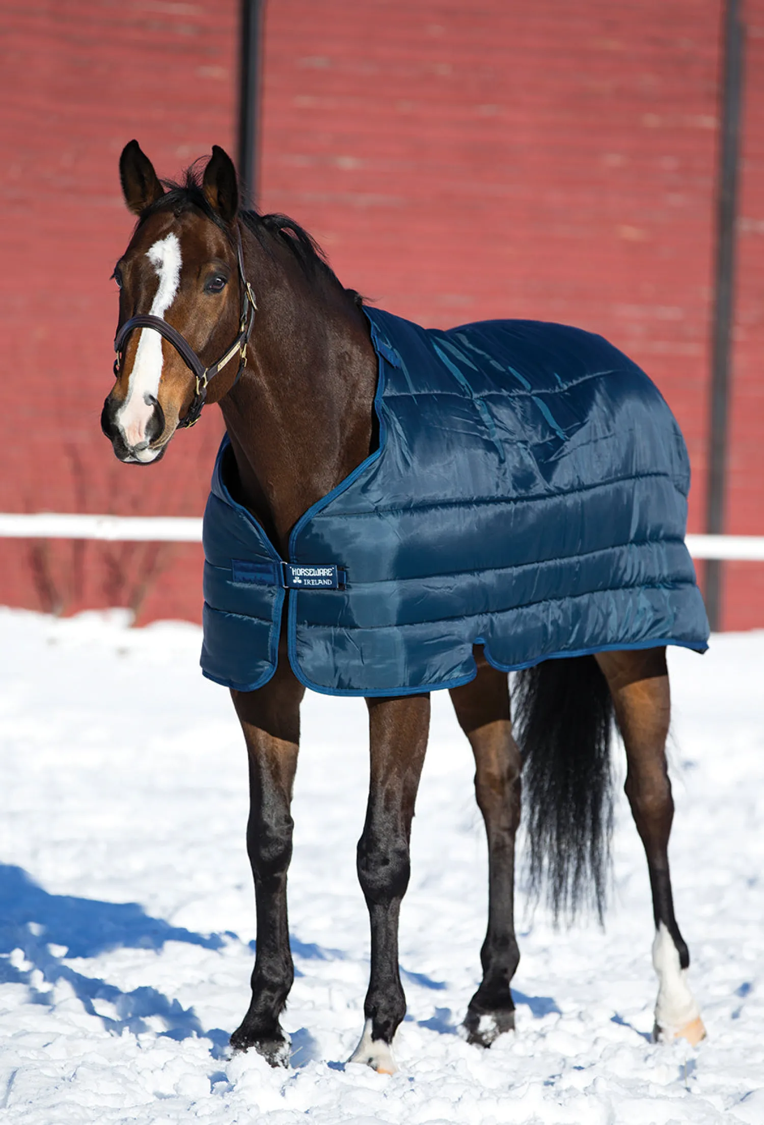 HORSEWARE ® Ireland 300 Gram Blanket Liner Navy/Navy