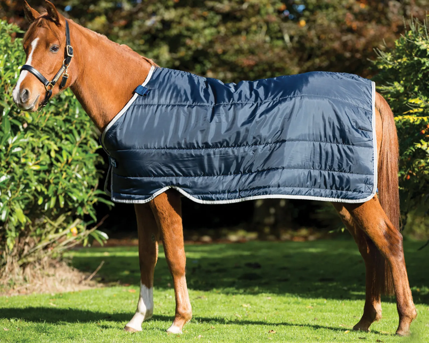 Hot HORSEWARE ® Ireland 100 Gram Pony Blanket Liner Navy/Silver