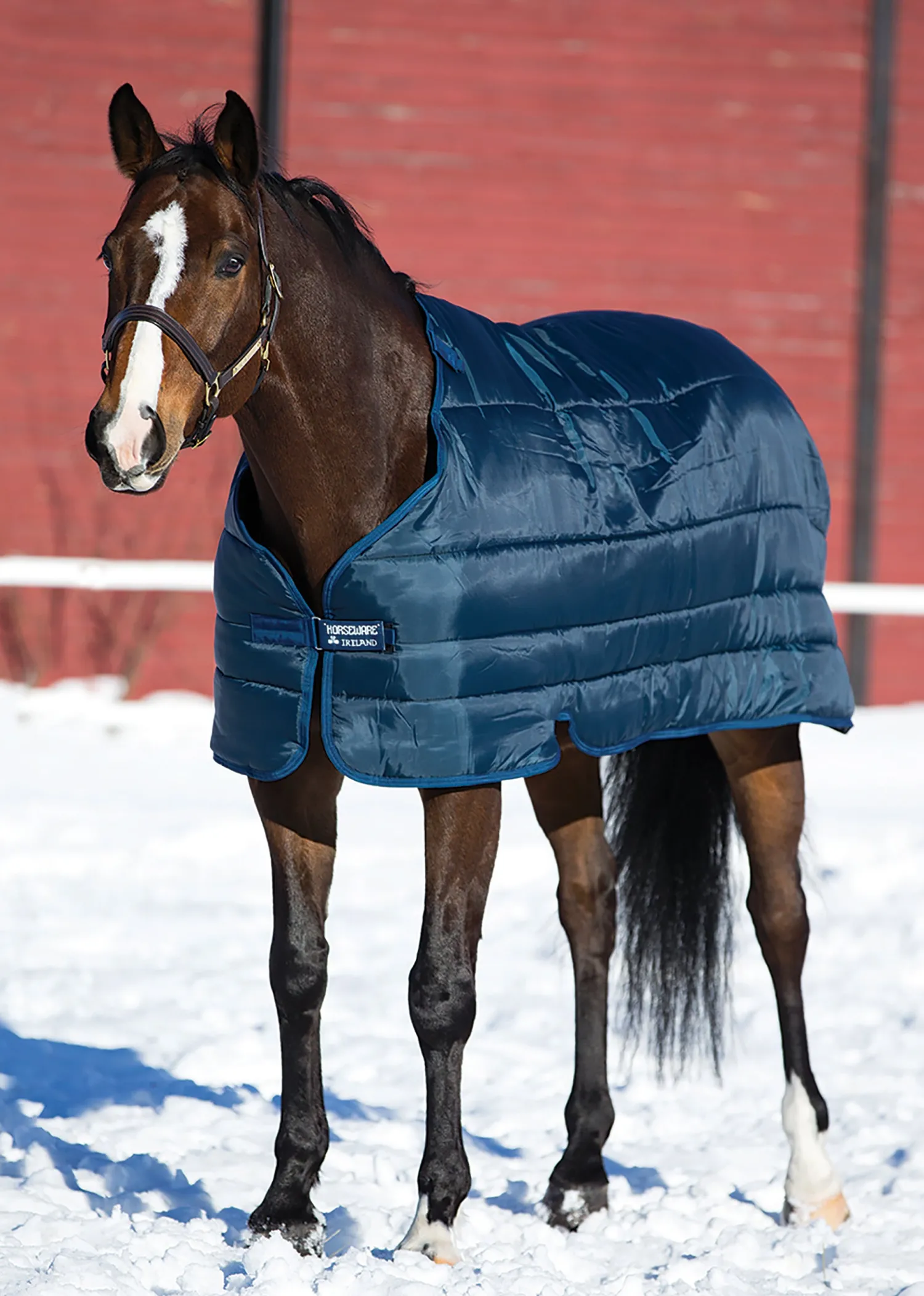 Sale HORSEWARE ® Ireland 200 Gram Pony Blanket Liner Navy/Silver