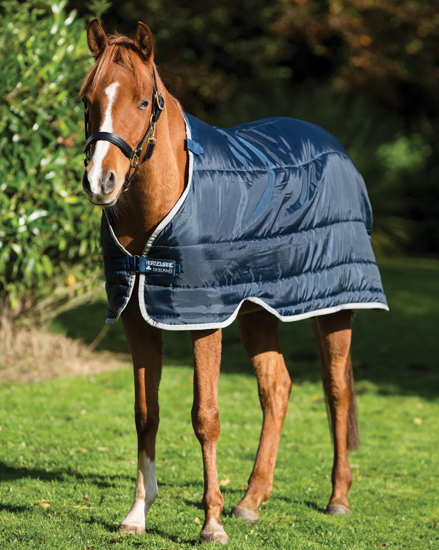 Sale HORSEWARE ® Ireland 200 Gram Pony Blanket Liner Navy/Silver