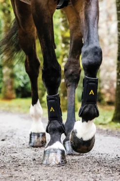HORSEWARE ® Ireland Adagio Boots Black