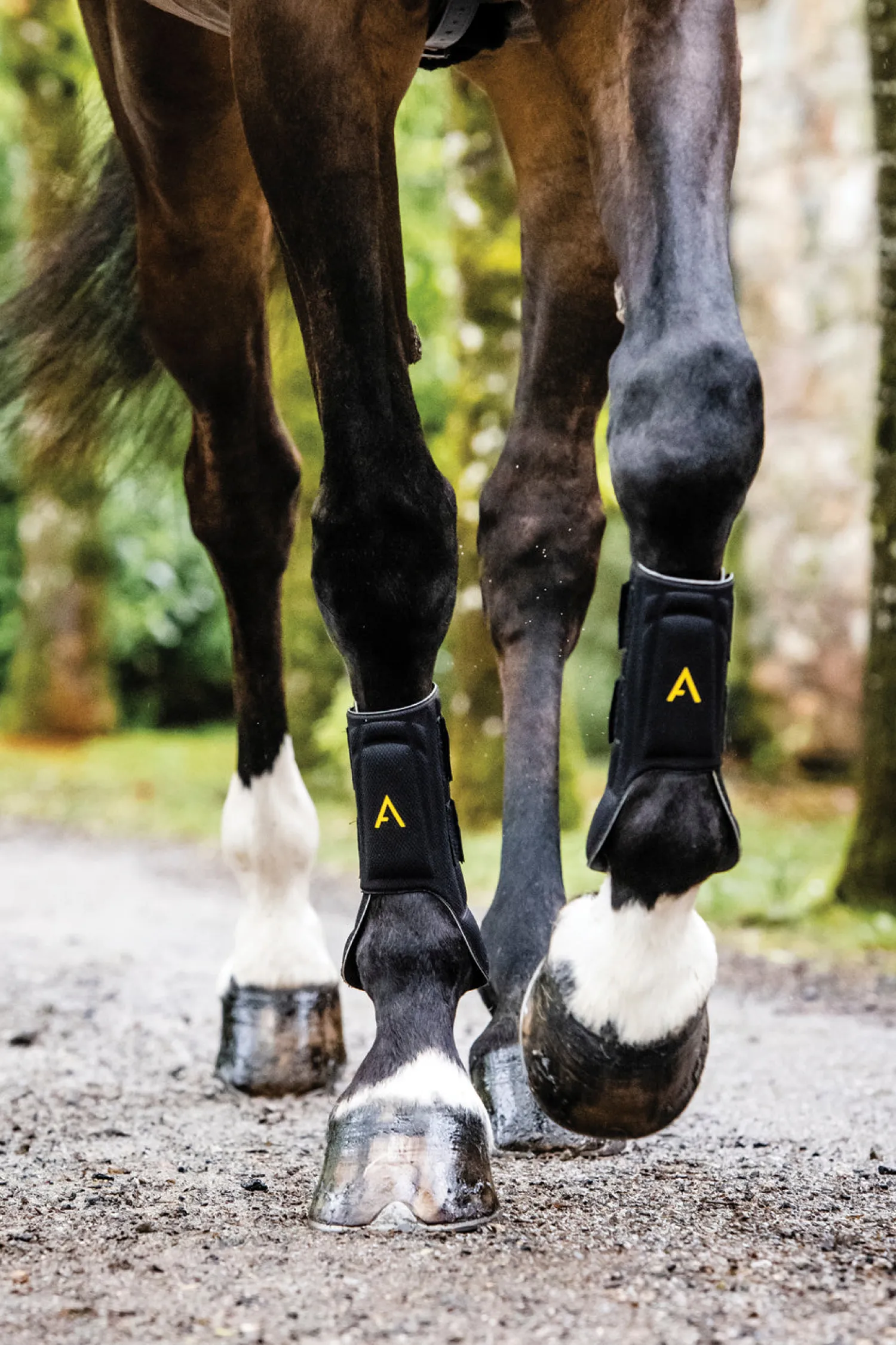 HORSEWARE ® Ireland Adagio Boots Black