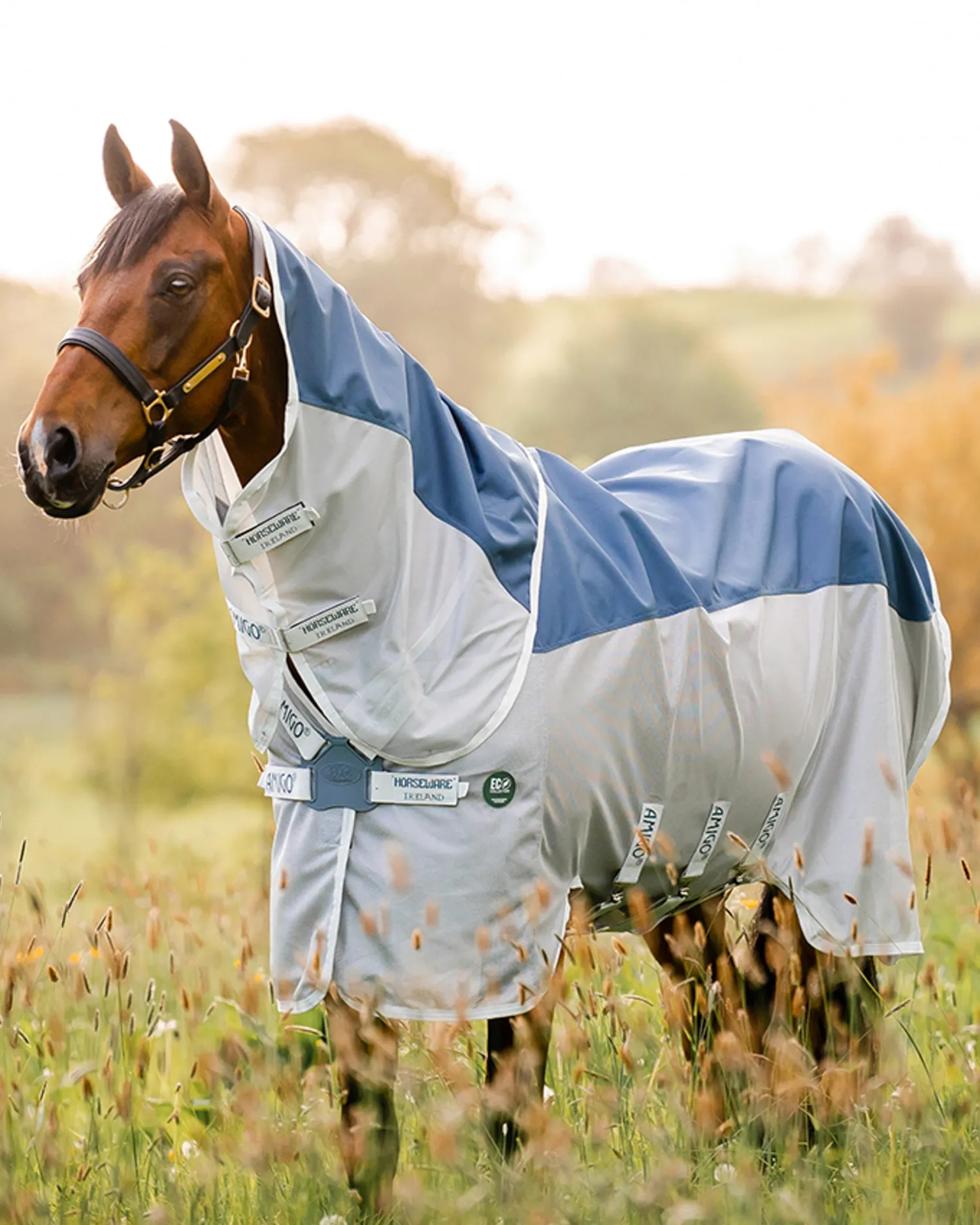New HORSEWARE ® Ireland Amigo® AmECO Combi (No Fill) Teal/Grey