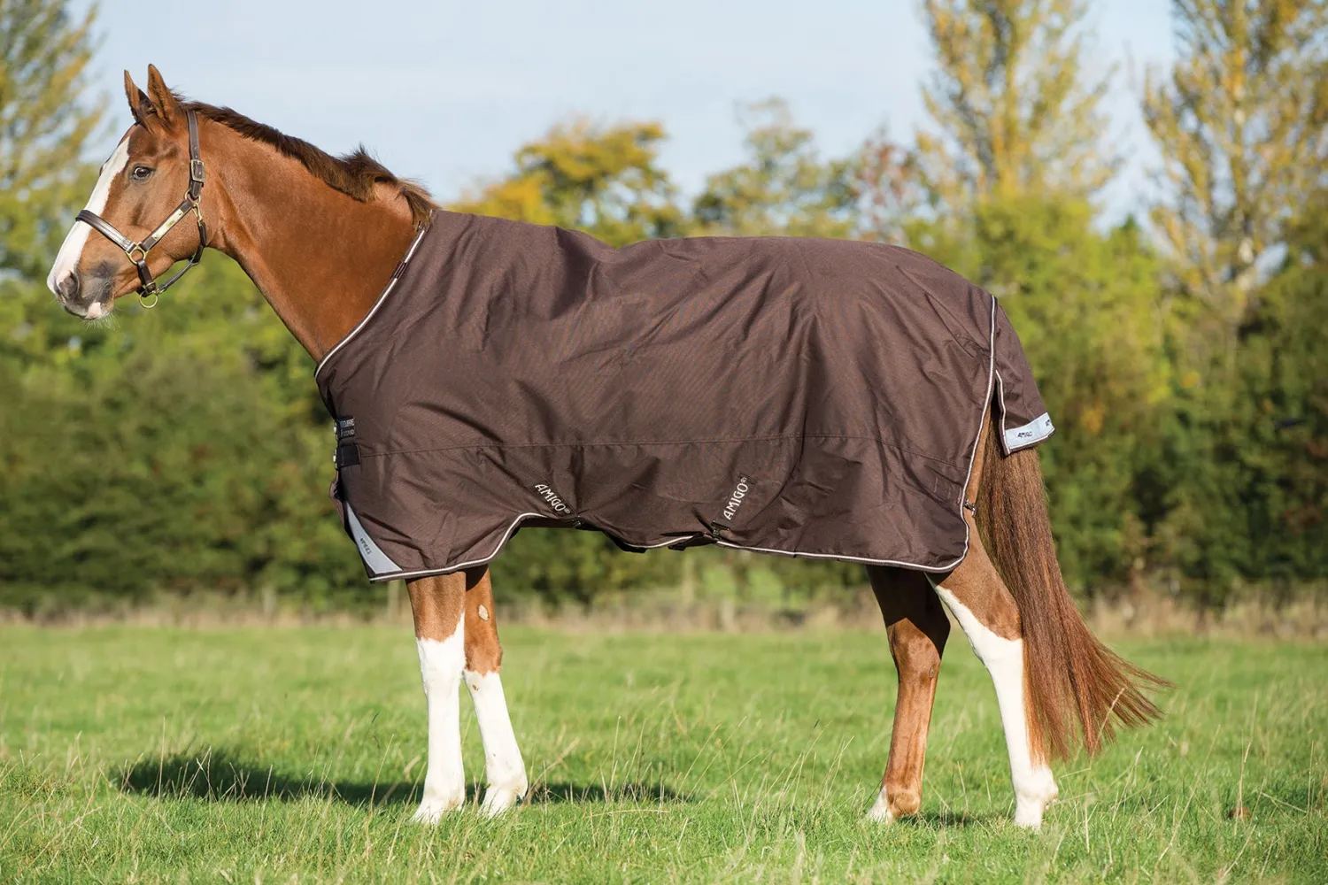 Sale HORSEWARE ® Ireland Amigo® Bravo 12 Heavyweight Turnout Blanket