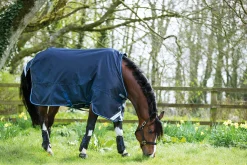 Sale HORSEWARE ® Ireland Amigo® Bravo 12 Heavyweight Turnout Blanket
