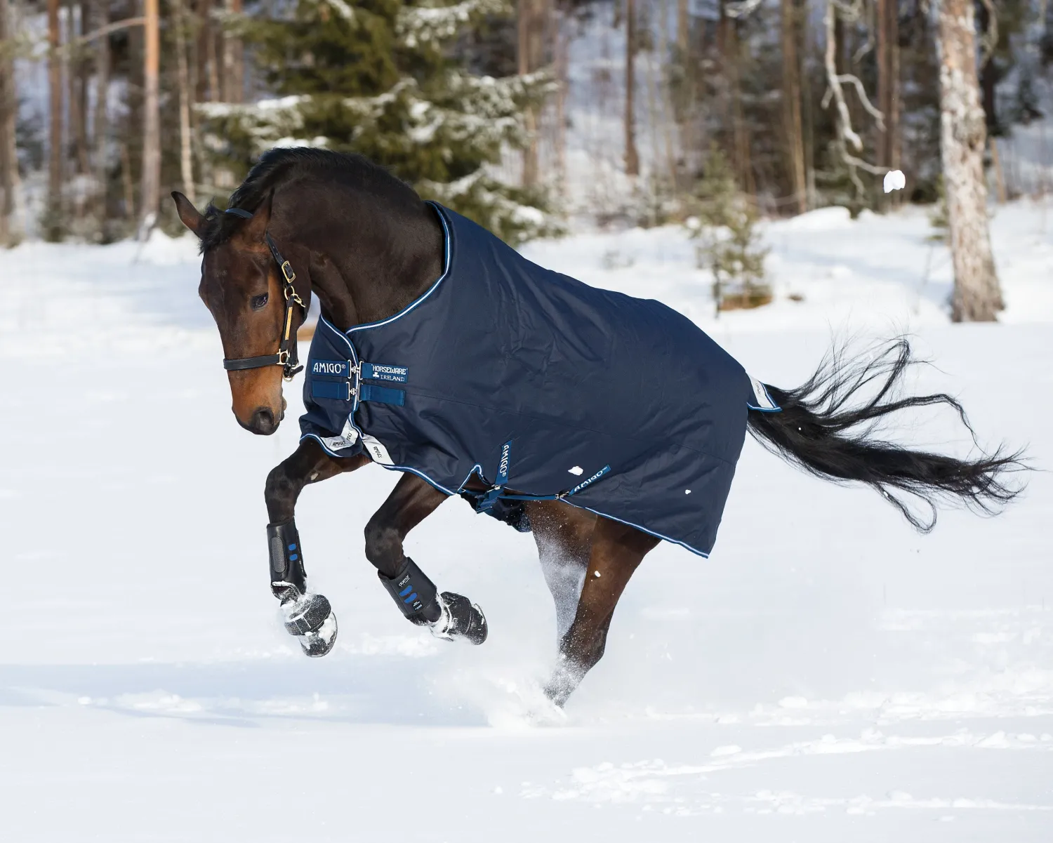 Sale HORSEWARE ® Ireland Amigo® Bravo 12 Heavyweight Turnout Blanket