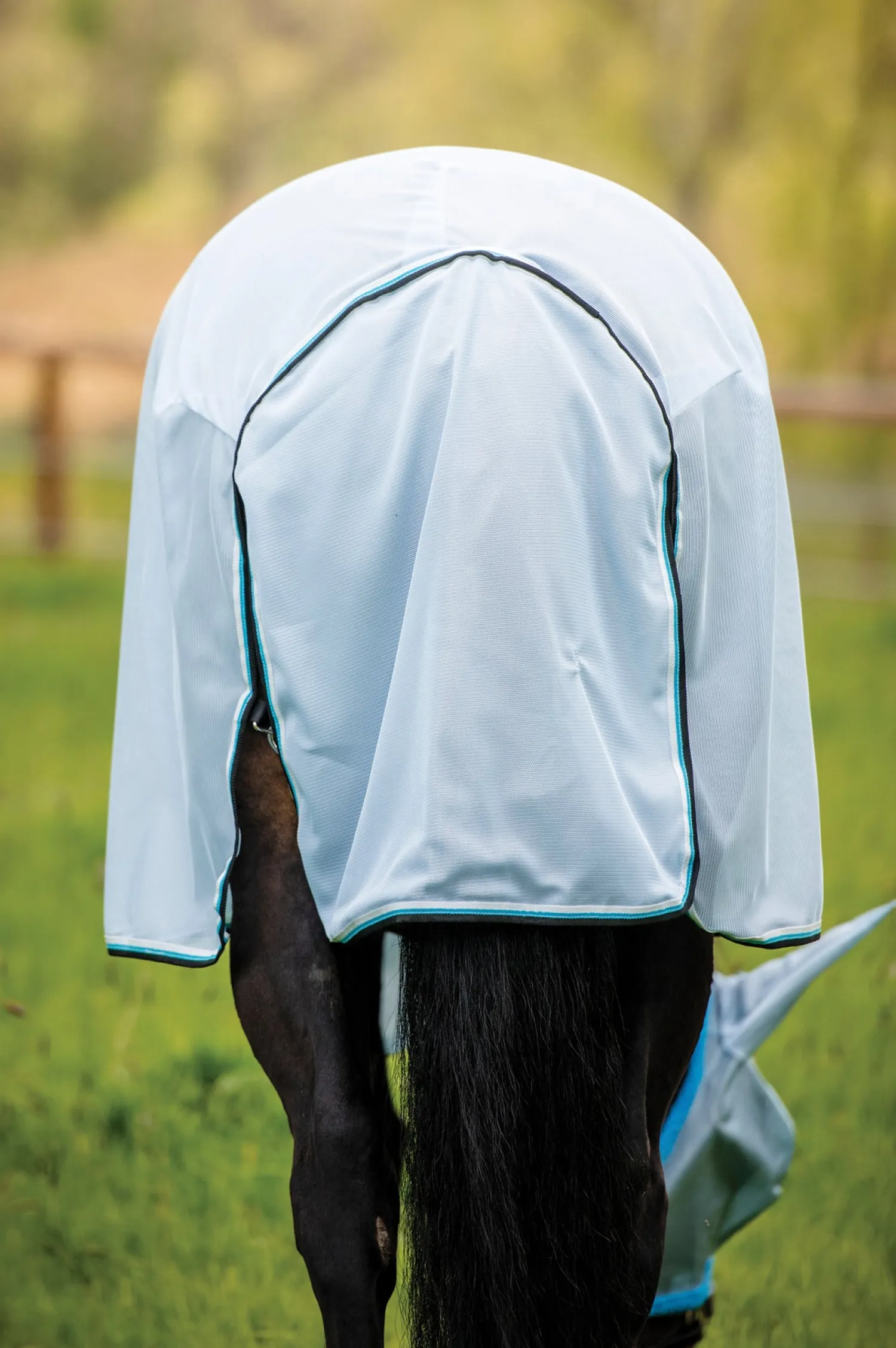 Clearance HORSEWARE ® Ireland Amigo® Bug Rug Azure Blue/Black
