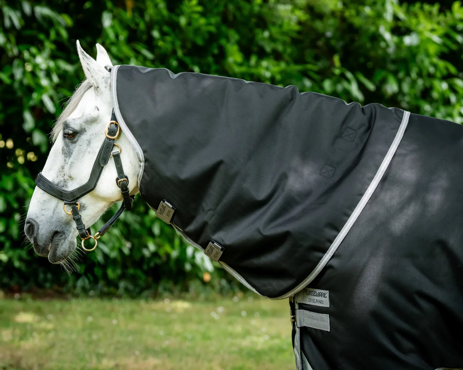 Online HORSEWARE ® Ireland Amigo® 1200D Plus Turnout