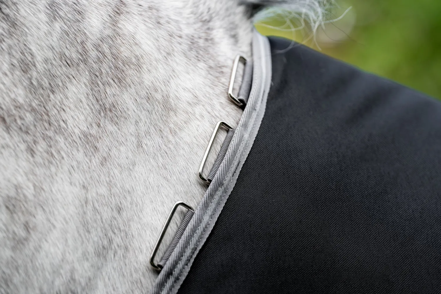Online HORSEWARE ® Ireland Amigo® 1200D Plus Turnout
