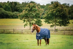 Hot HORSEWARE ® Ireland Amigo® 900D Ripstop 0 Gram Turnout Sheet