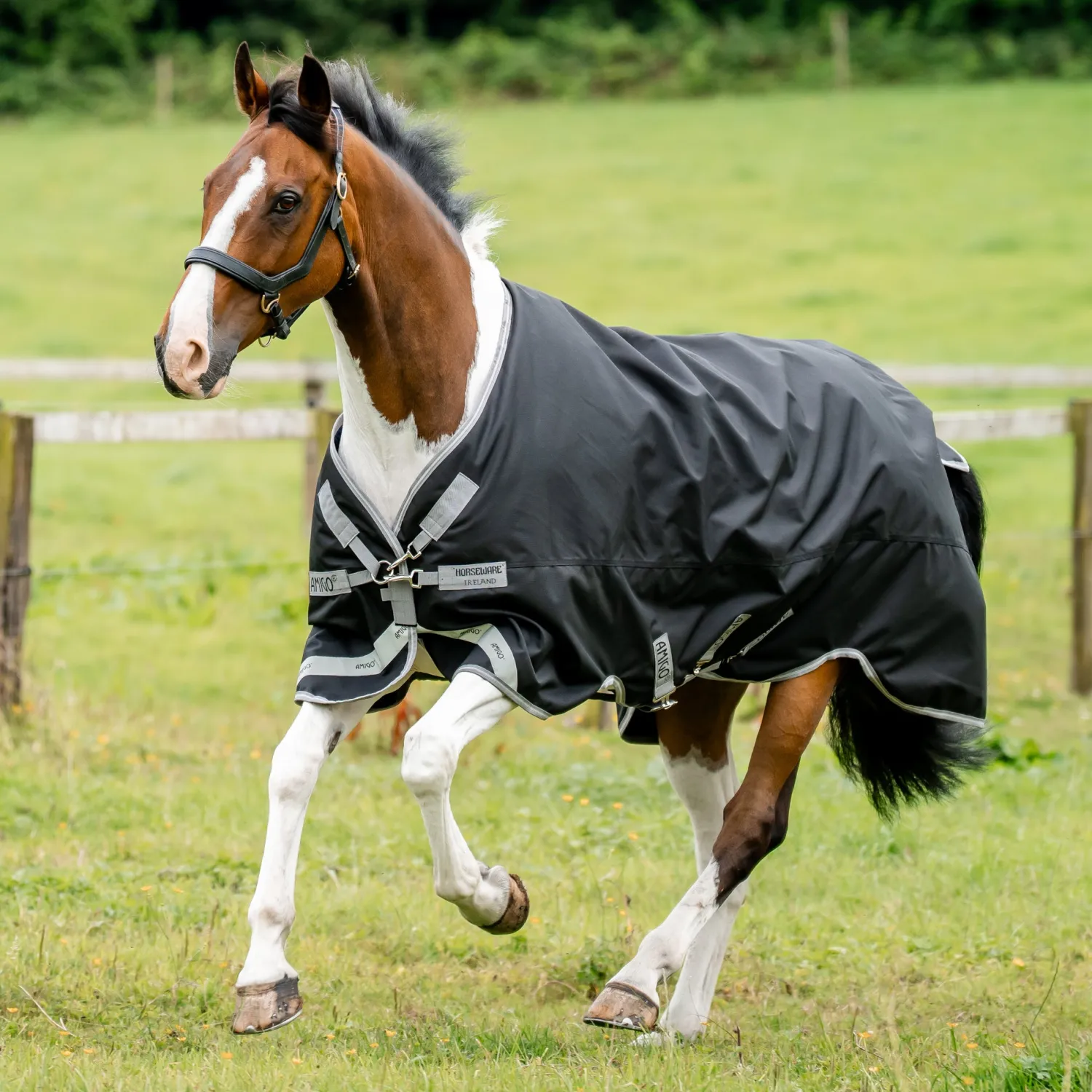 Online HORSEWARE ® Ireland Amigo® 1200D Plus Turnout 250 Gram