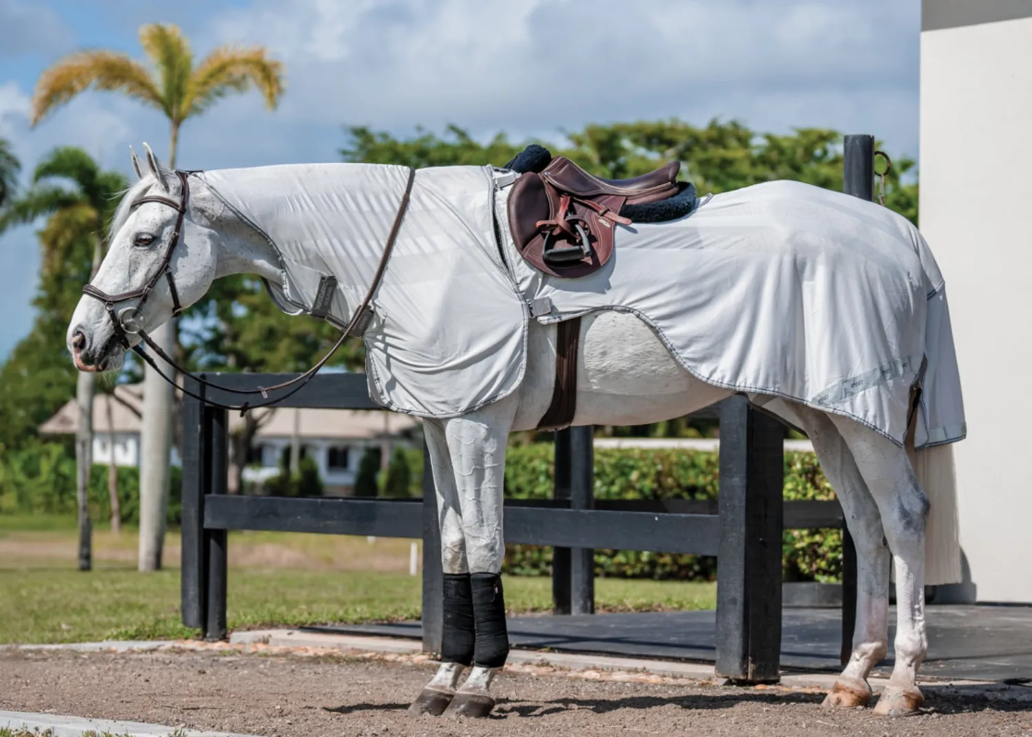 Best HORSEWARE ® Ireland Amigo® Flyrider