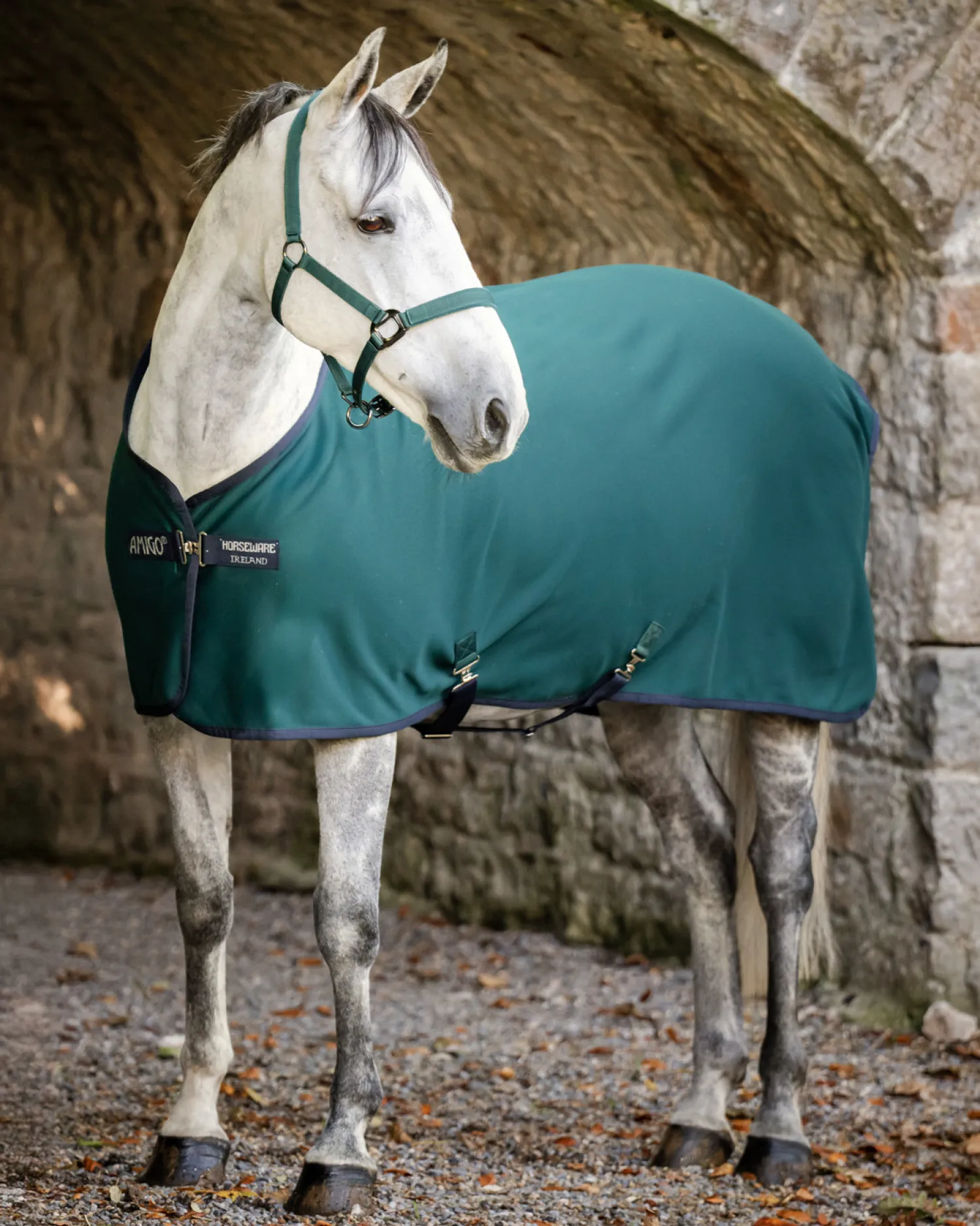 Sale HORSEWARE ® Ireland Amigo® Jersey Cooler Dynasty Green/Navy