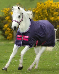 New HORSEWARE ® Ireland Amigo® Pony Hero 900D Medium-Weight Turnout Blanket