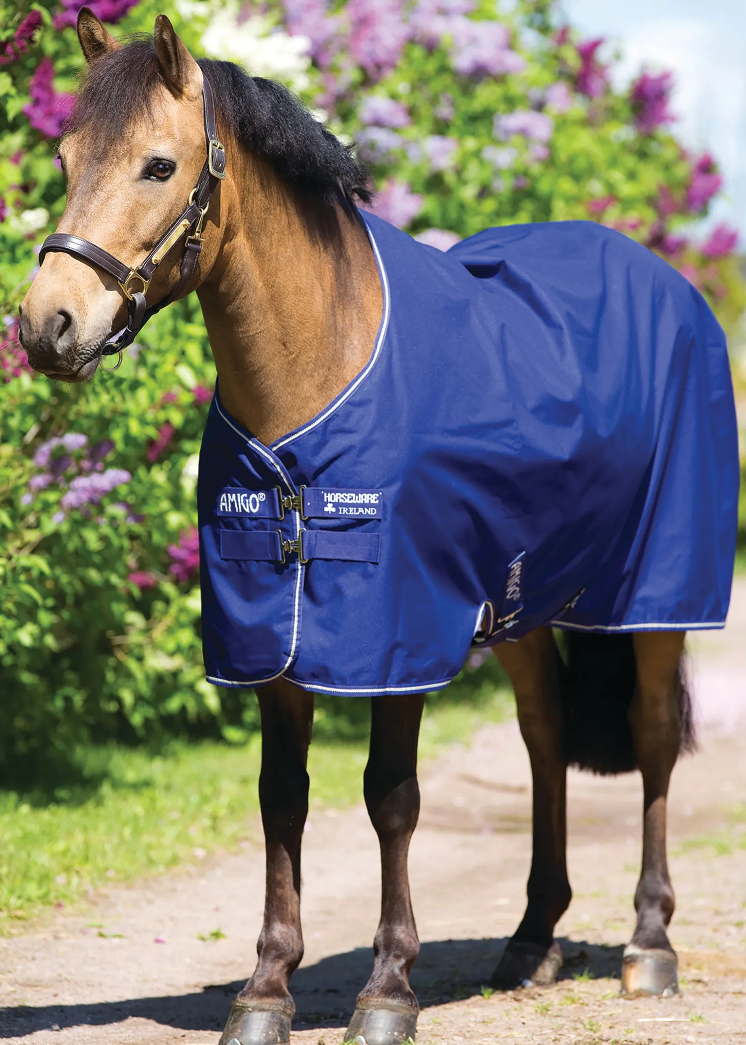Online HORSEWARE ® Ireland Amigo® Pony Hero 900D Lite Turnout Sheet