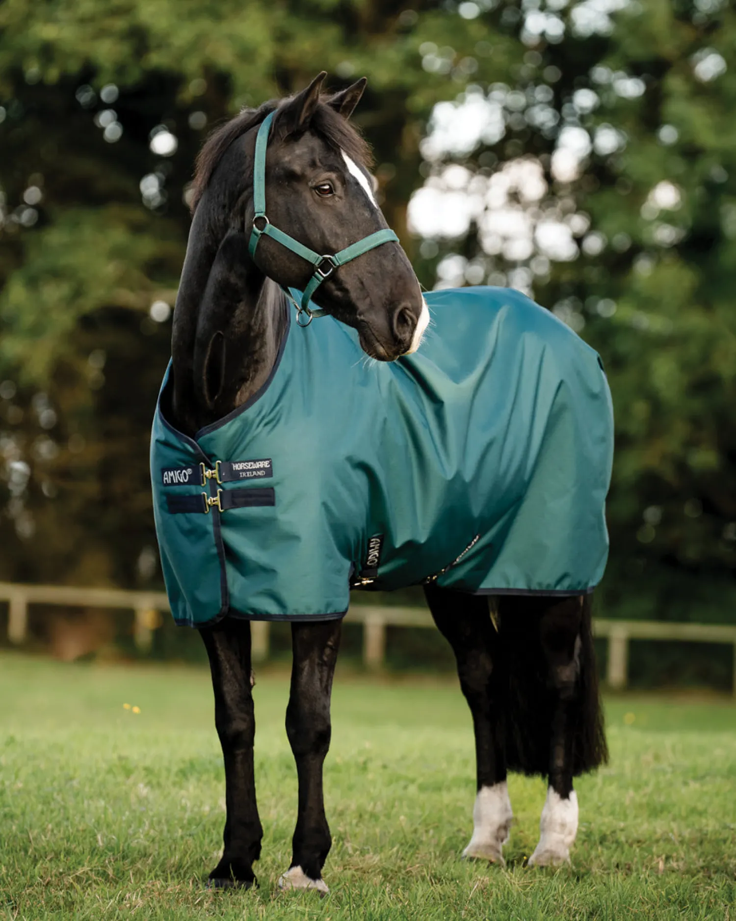 Sale HORSEWARE ® Ireland Amigo® Ripstop 900D 50 Gram Standard Neck Turnout Dynasty Green/Navy/Silver