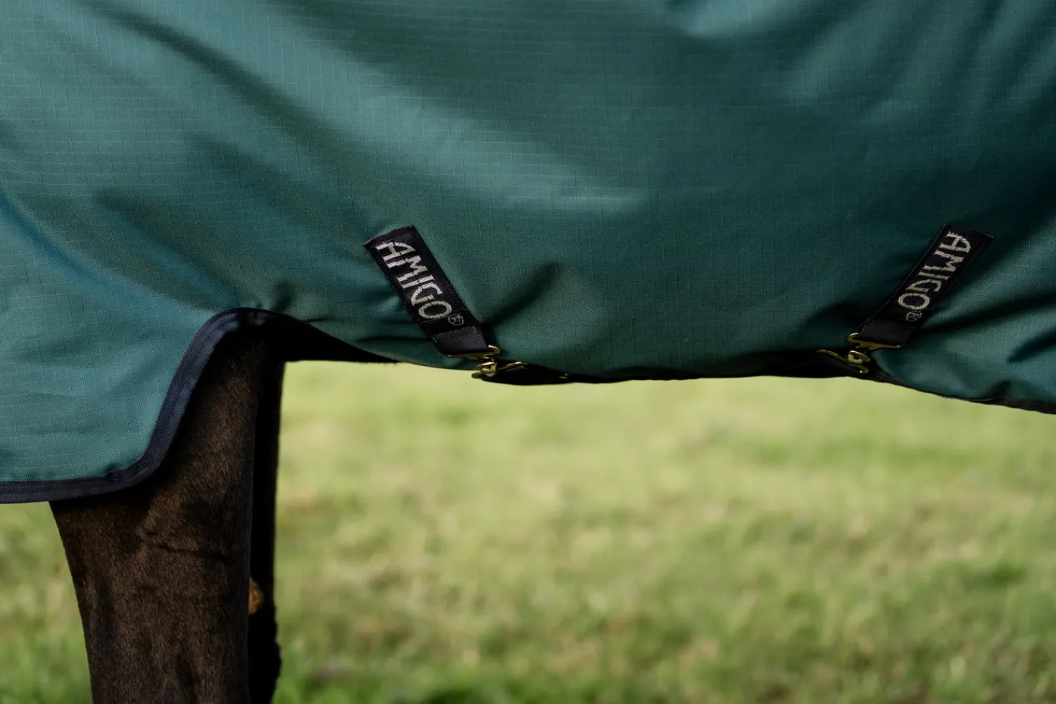 Sale HORSEWARE ® Ireland Amigo® Ripstop 900D 50 Gram Standard Neck Turnout Dynasty Green/Navy/Silver