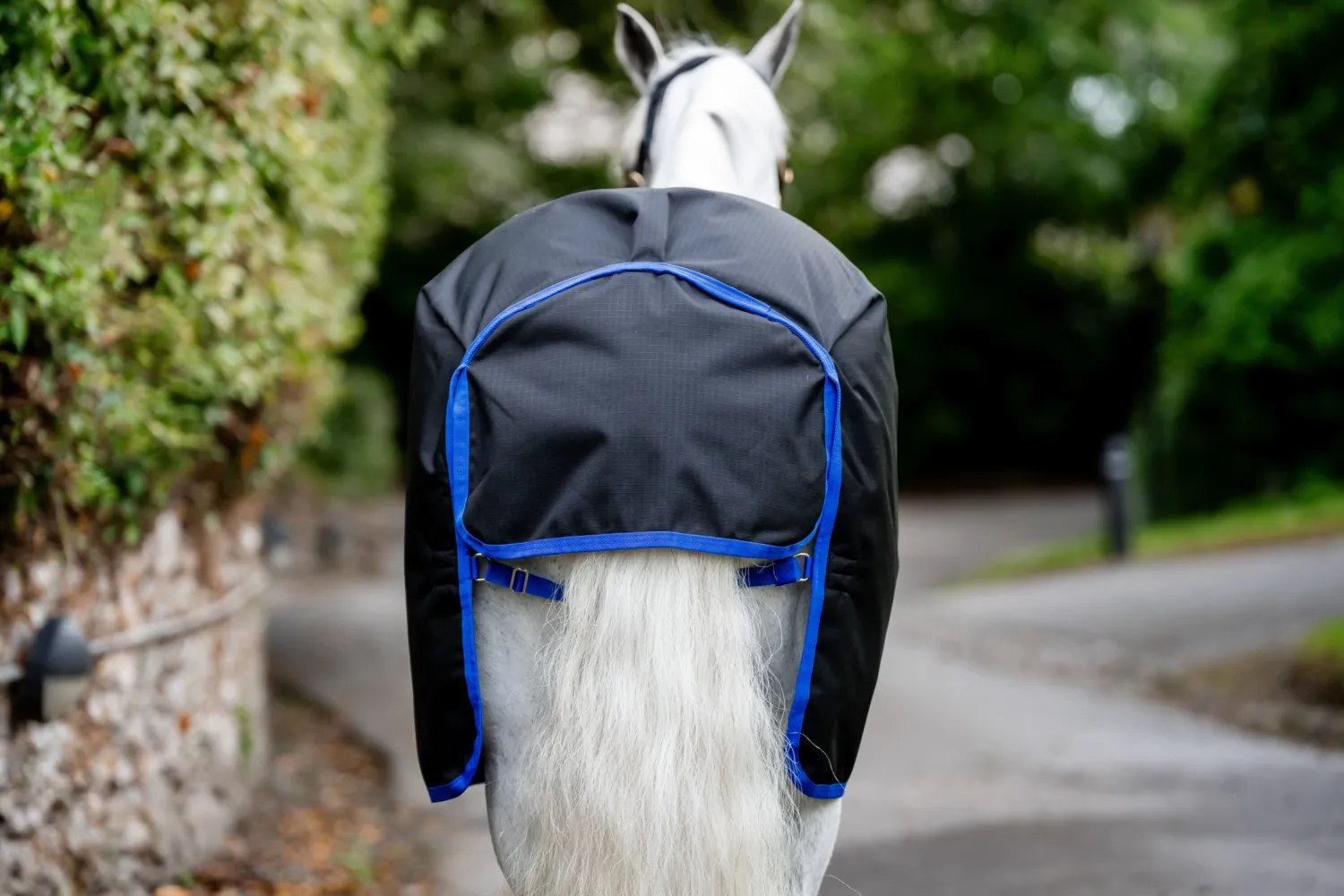 Sale HORSEWARE ® Ireland Amigo® Ripstop 900D Plus Pony Turnout Sheet Black/Classic Blue