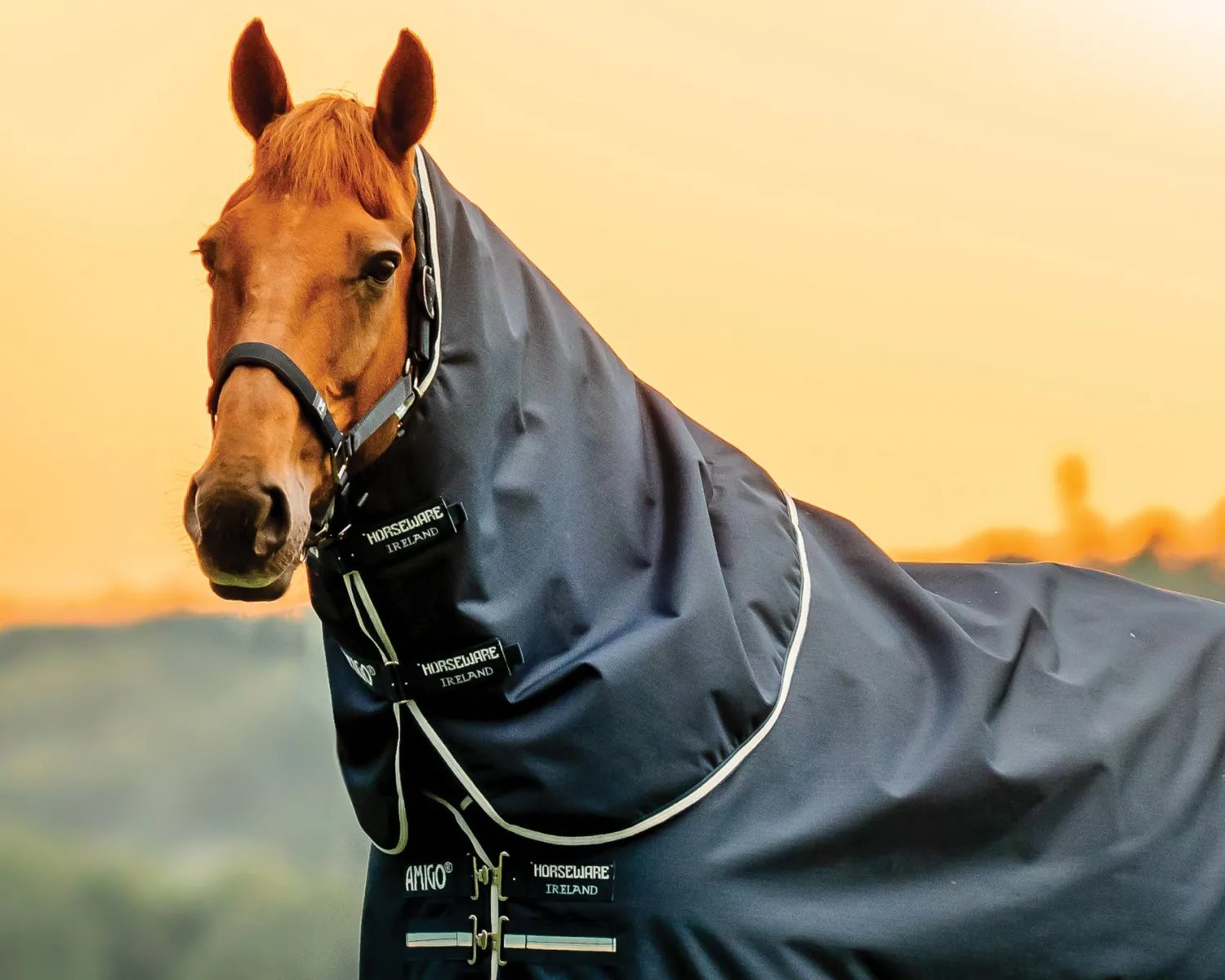 Best HORSEWARE ® Ireland Amigo® Ripstop 900D Plus Turnout Sheet