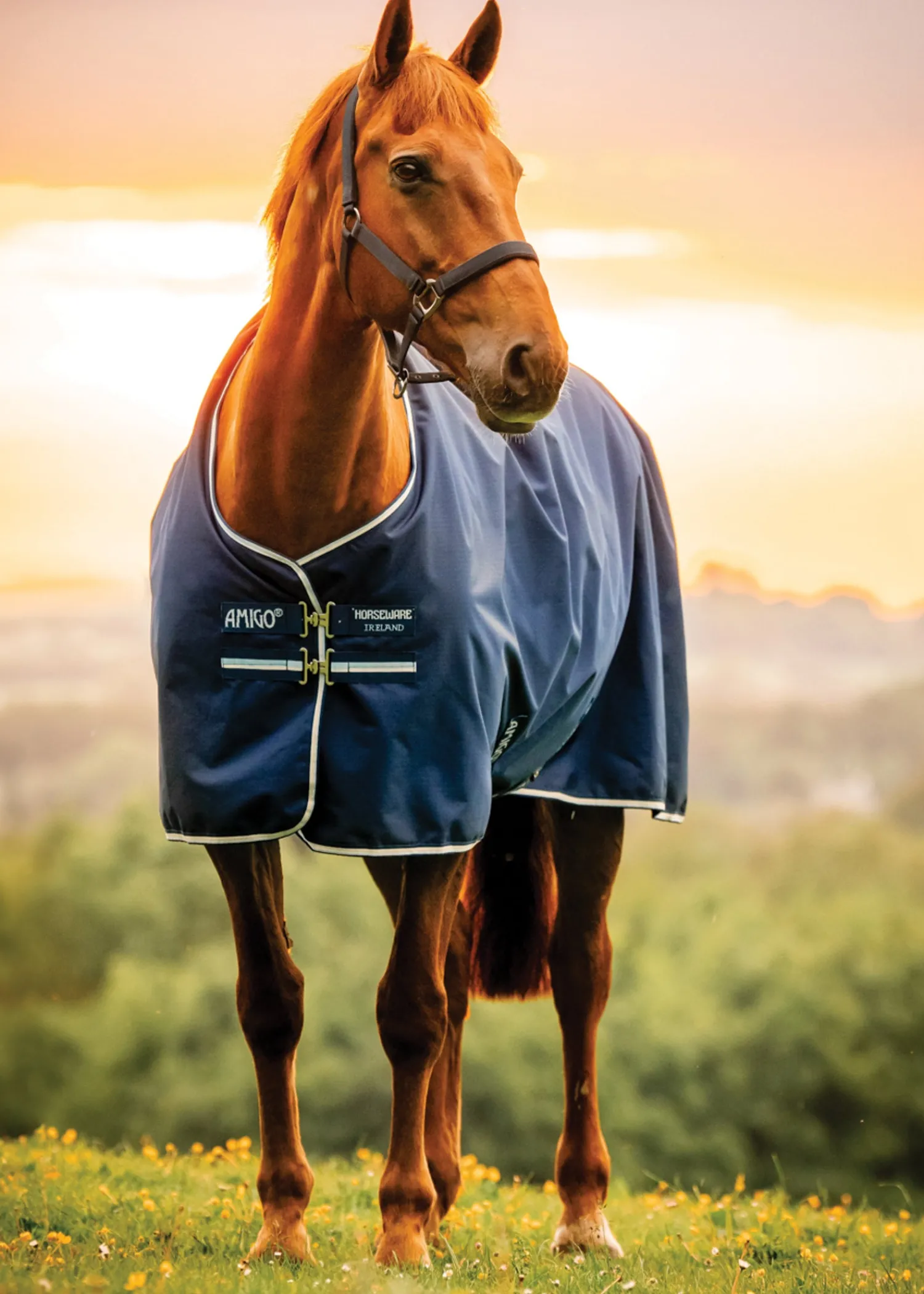 Outlet HORSEWARE ® Ireland Amigo® Ripstop 900D 100 Gram Standard Neck Pony Turnout–Seasonal Color