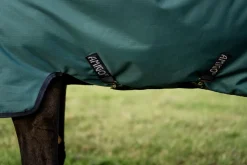 Outlet HORSEWARE ® Ireland Amigo® Ripstop 900D 100 Gram Standard Neck Pony Turnout–Seasonal Color