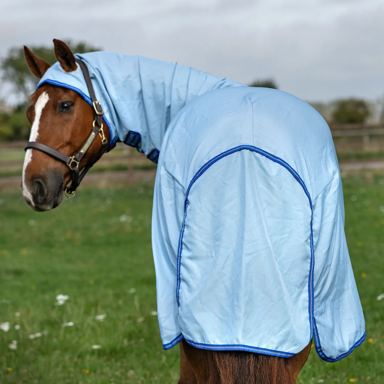 Clearance HORSEWARE ® Ireland Amigo® Ripstop Hoody Blanket Azure/Strong Blue/Silver