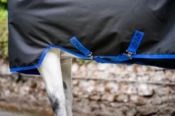 Sale HORSEWARE ® Ireland Amigo® Ripstop 900D Standard Neck Pony Turnout Sheet Black/Classic Blue