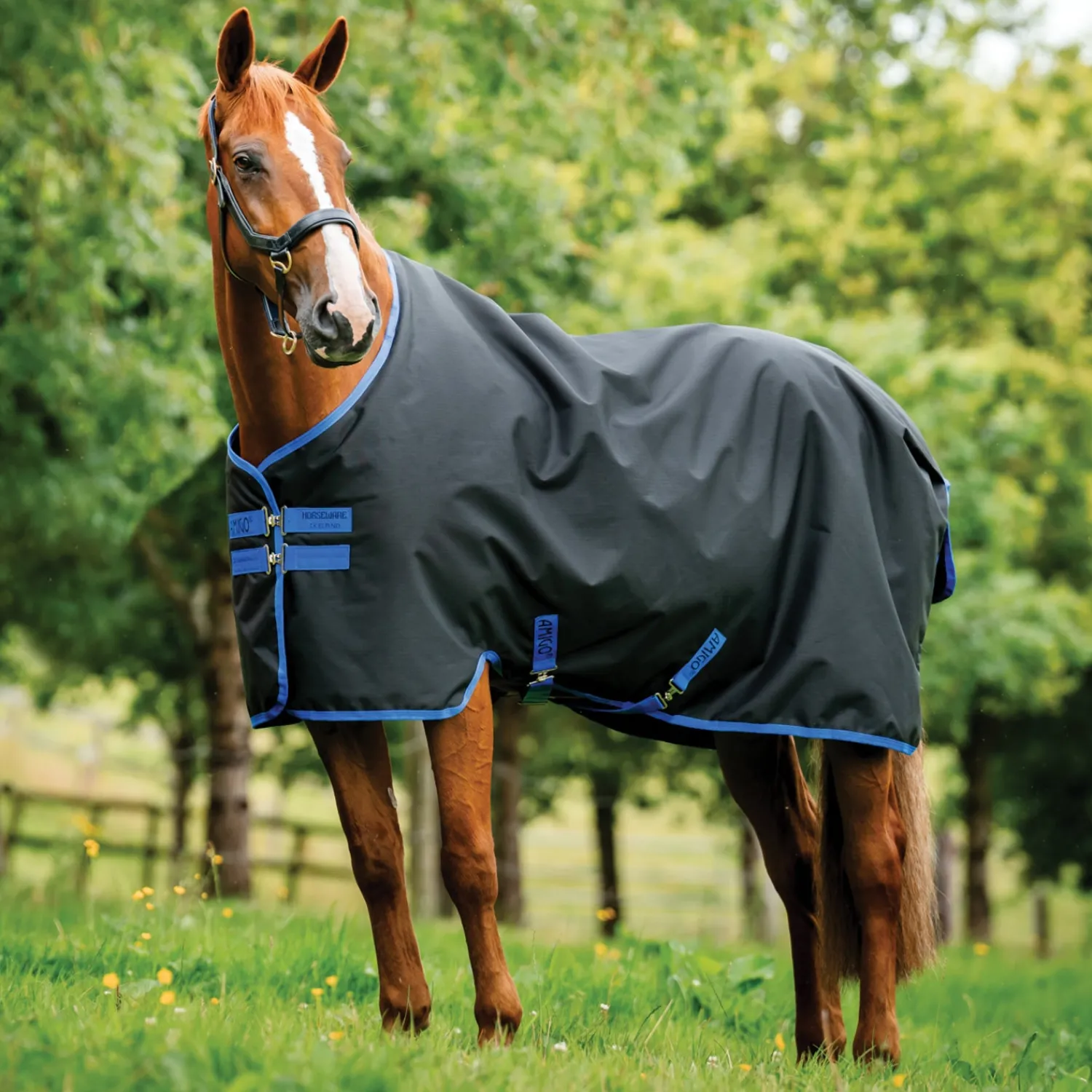 HORSEWARE ® Ireland Amigo® Ripstop 900D 100 Gram Standard Neck Turnout