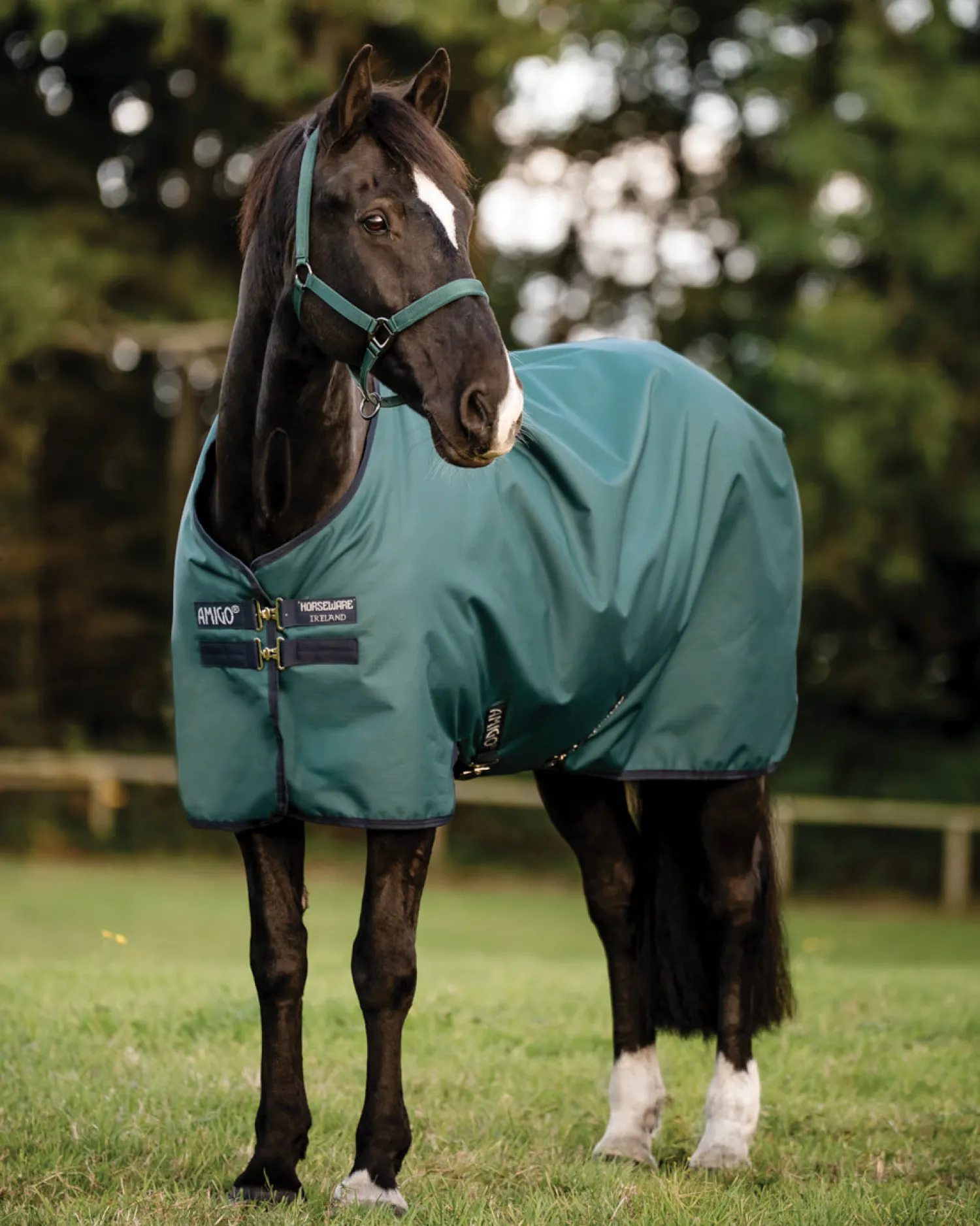Outlet HORSEWARE ® Ireland Amigo® Ripstop 900D 200 Gram Standard Neck Turnout–Seasonal Color