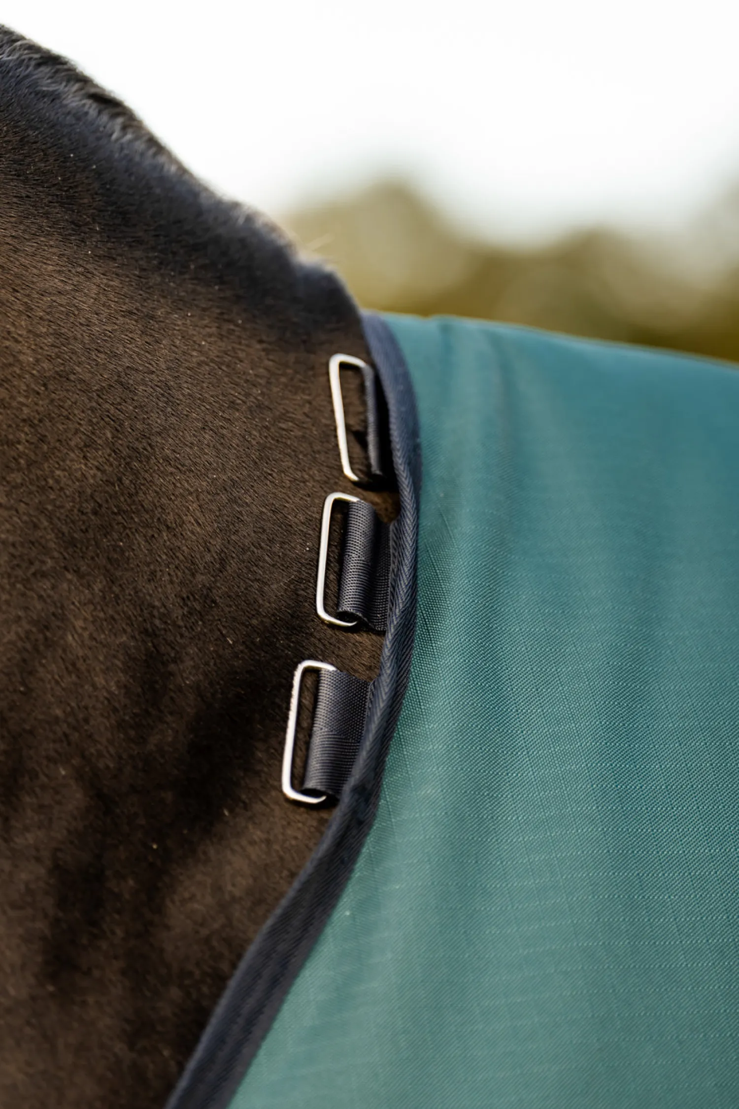 Outlet HORSEWARE ® Ireland Amigo® Ripstop 900D 200 Gram Standard Neck Turnout–Seasonal Color