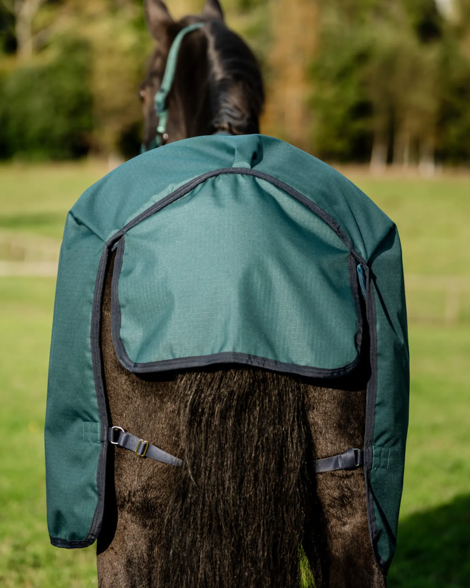 Outlet HORSEWARE ® Ireland Amigo® Ripstop 900D 200 Gram Standard Neck Turnout–Seasonal Color