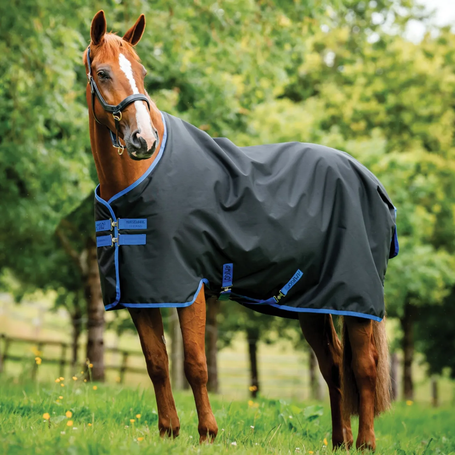 Outlet HORSEWARE ® Ireland Amigo® Ripstop 900D 50 Gram Standard Neck Turnout