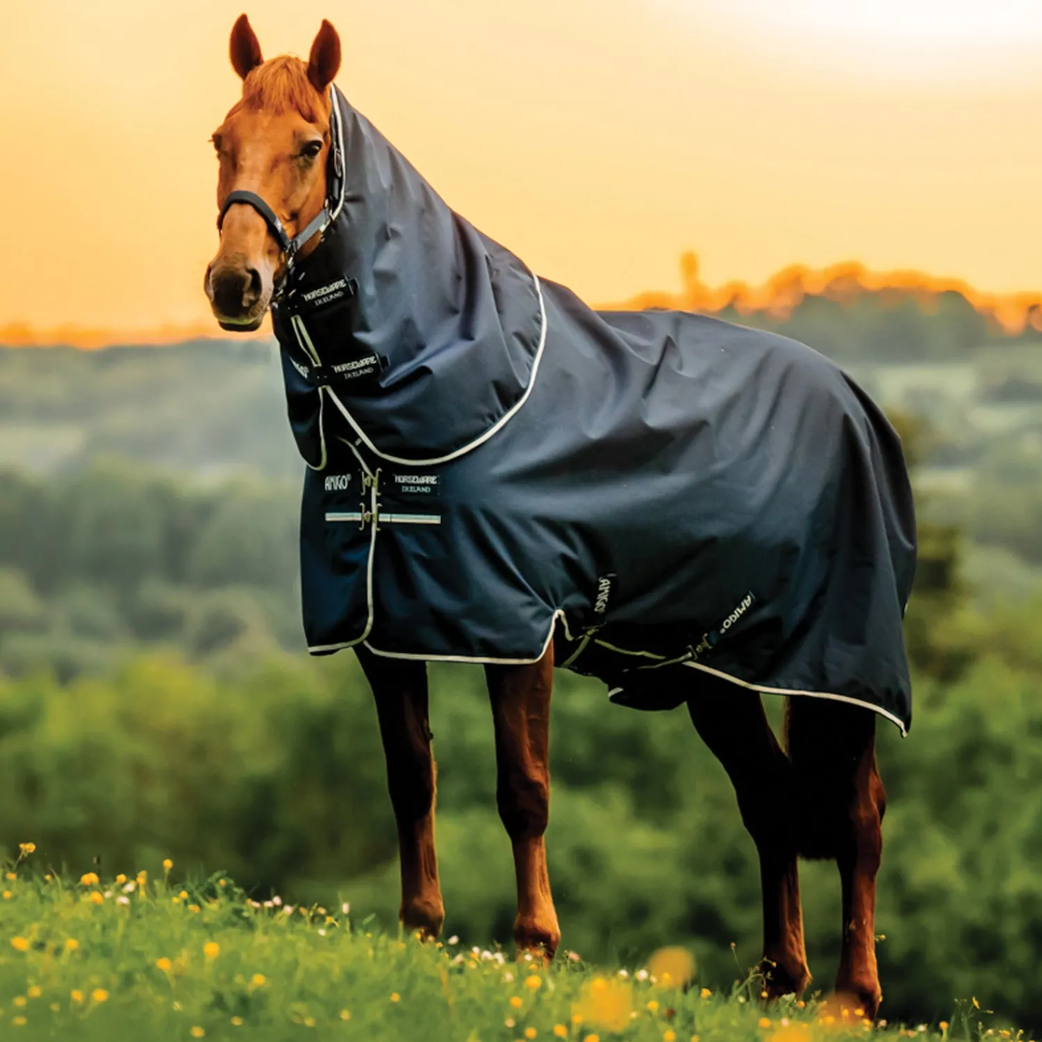 Discount HORSEWARE ® Ireland Amigo® Ripstop 900D 200 Grams Plus Turnout