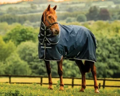 Sale HORSEWARE ® Ireland Amigo® Ripstop 900D 100 Gram Plus Pony Turnout