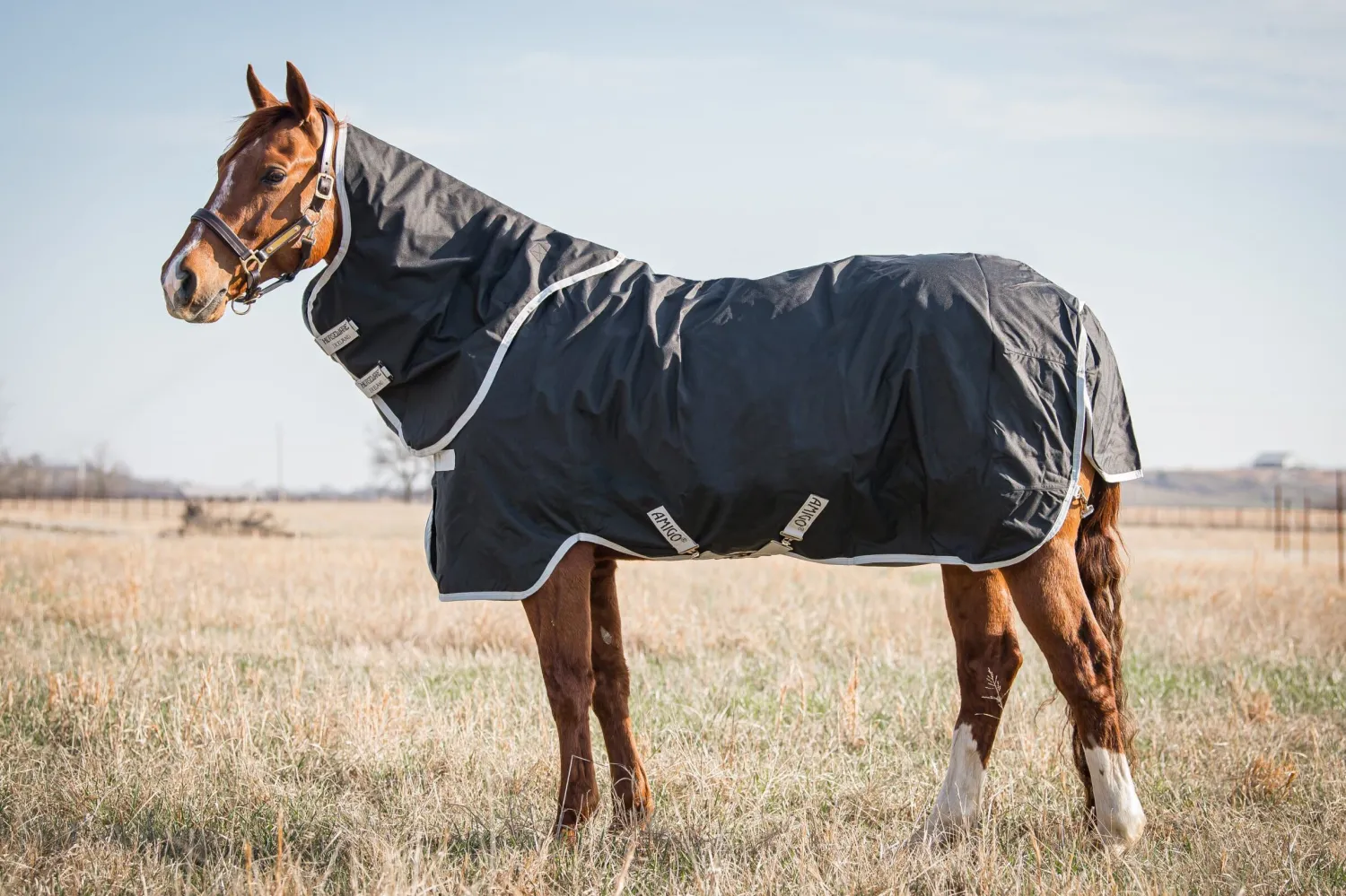 HORSEWARE Ireland® Amigo® Stock Horse Plus Turnout Light Black/Silver