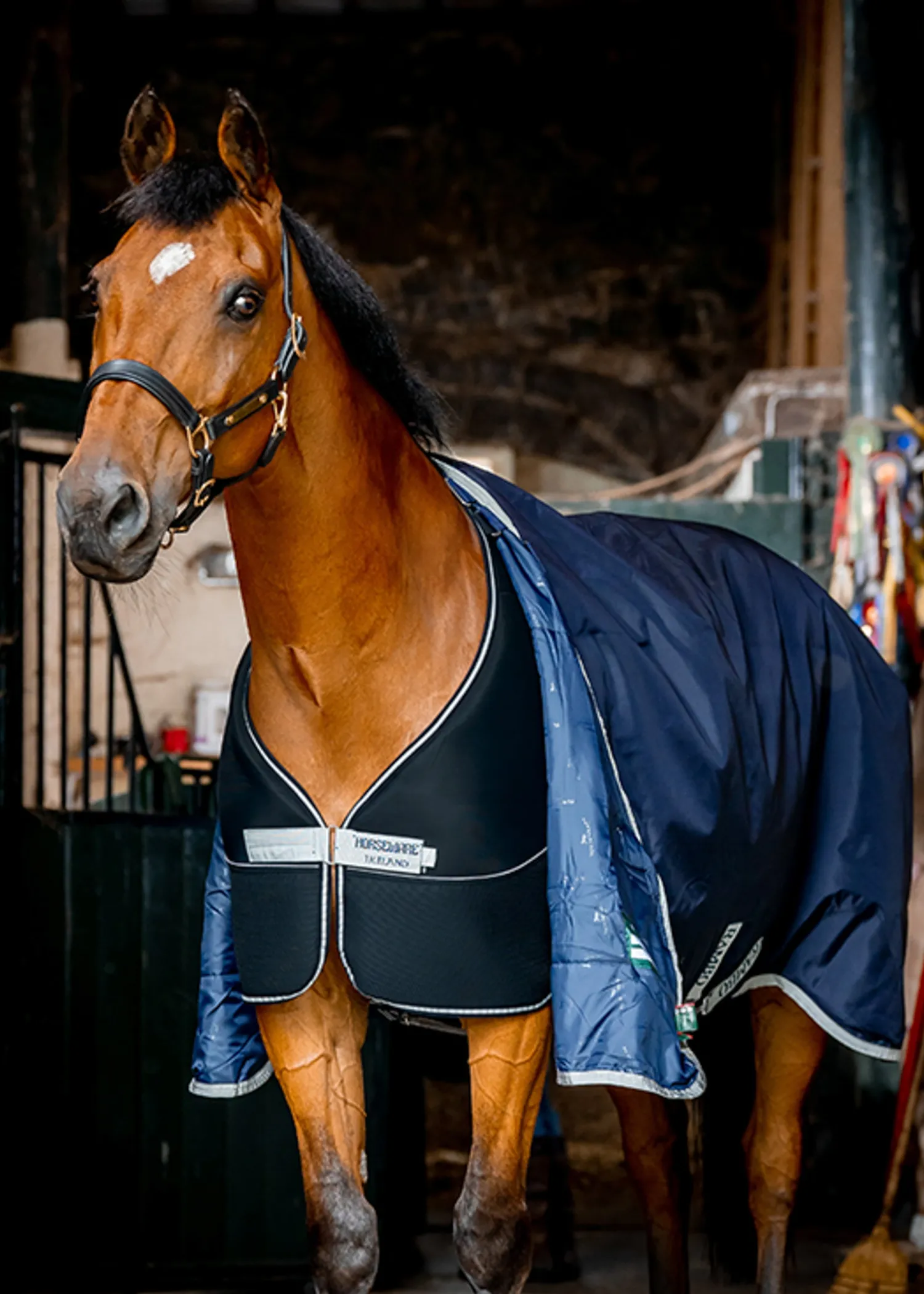 Best HORSEWARE ® Ireland Dry Liner Navy/Silver
