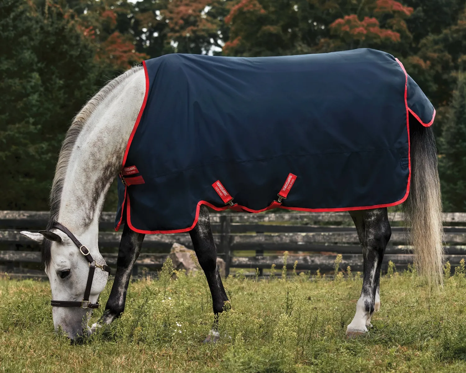 Sale HORSEWARE ® Ireland Exclusive 600D 100 Gram Ripstop Turnout Blanket Navy/Red
