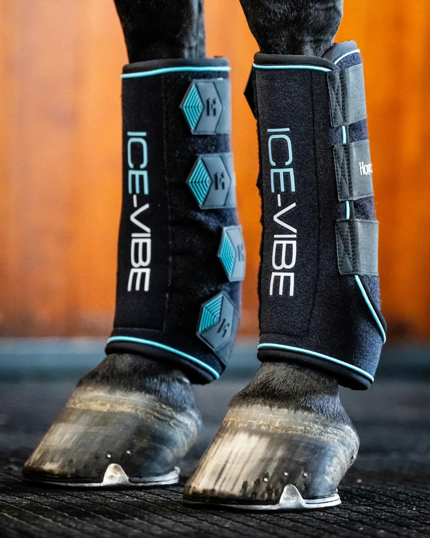 HORSEWARE ® Ireland ICE-VIBE® Leg Wraps Black/Aqua