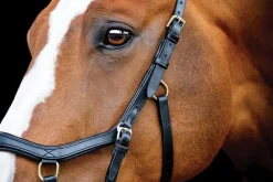 Sale HORSEWARE ® Ireland Micklem2 Competition Bridle with Reins