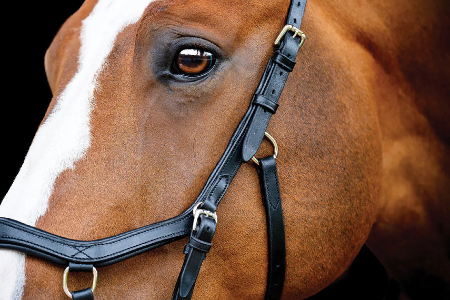 Sale HORSEWARE ® Ireland Micklem2 Competition Bridle with Reins