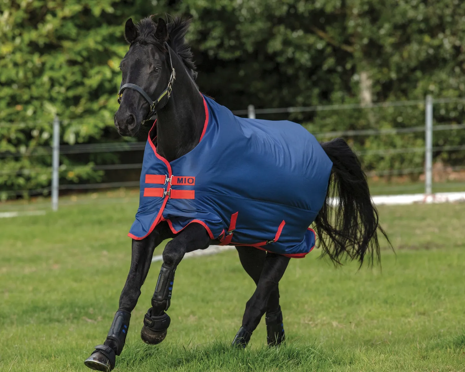 Outlet HORSEWARE ® Ireland Mio® Lite Turnout Sheet