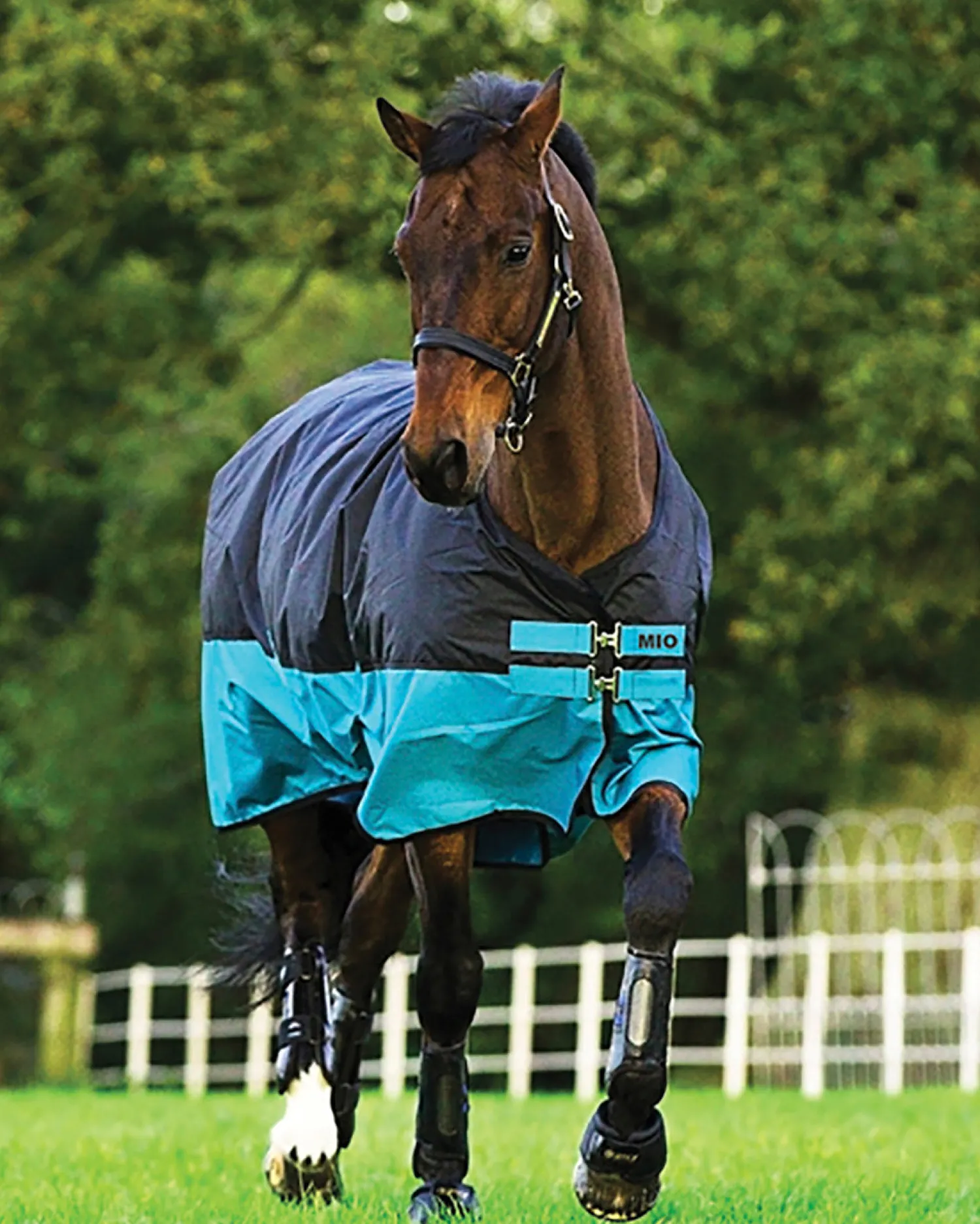 Outlet HORSEWARE ® Ireland Mio® Lite Turnout Sheet