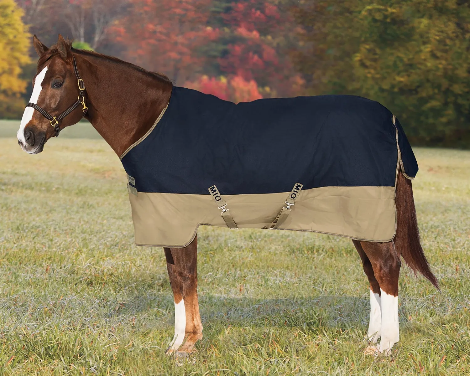Outlet HORSEWARE ® Ireland Mio® Lite Turnout Sheet