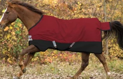 Outlet HORSEWARE ® Ireland Mio® Lite Turnout Sheet