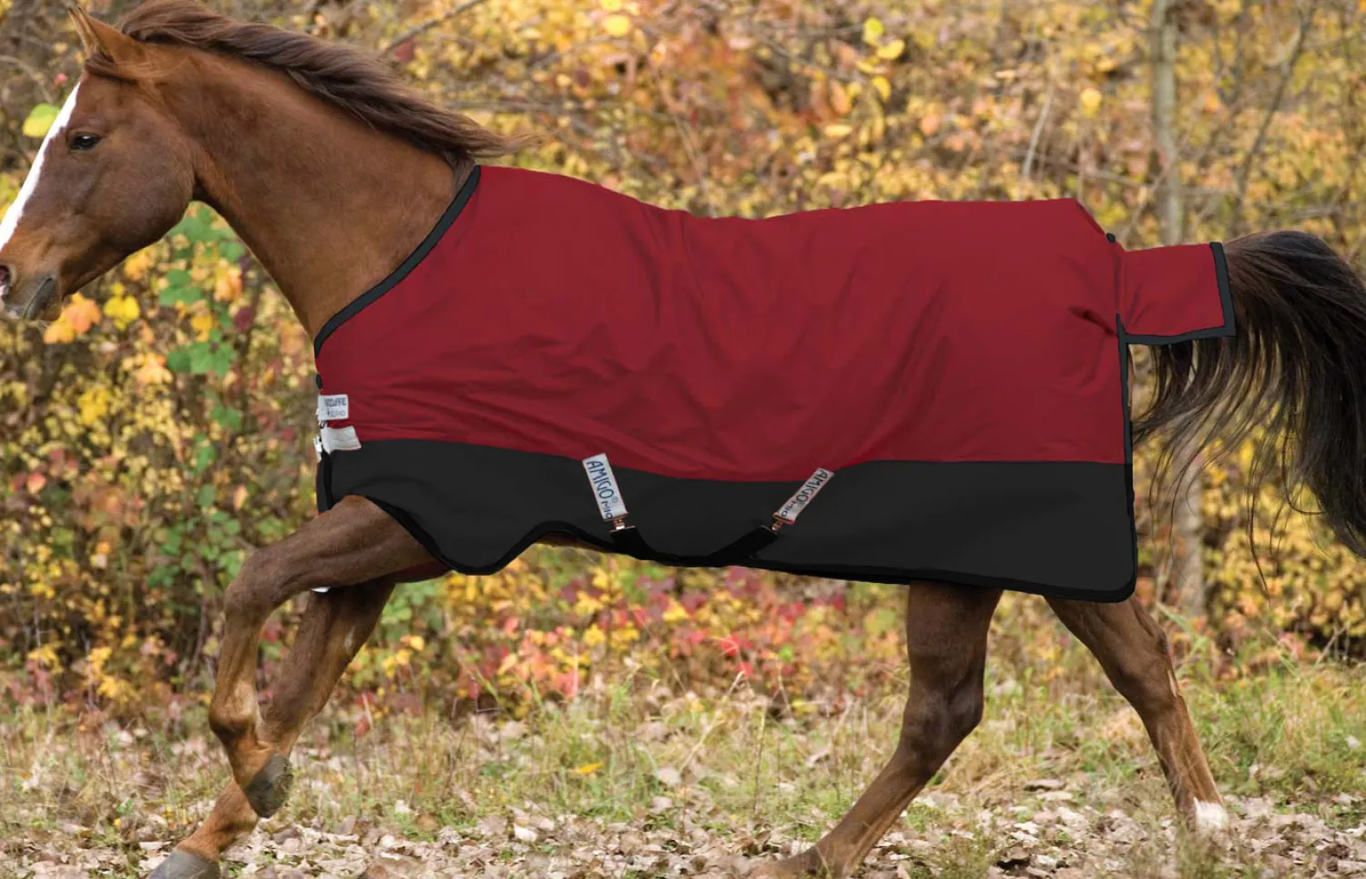 Outlet HORSEWARE ® Ireland Mio® Lite Turnout Sheet