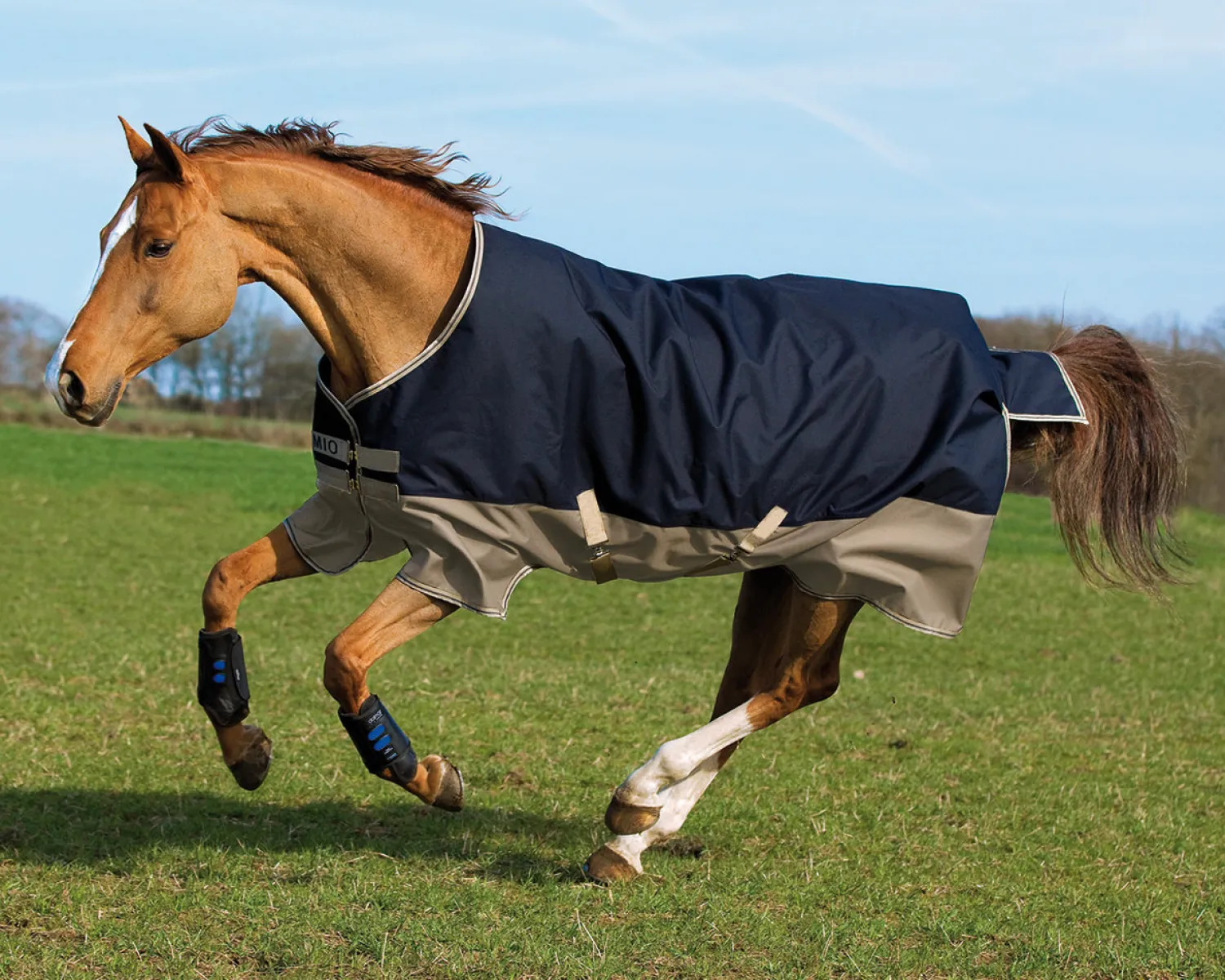 Outlet HORSEWARE ® Ireland Mio® Lite Turnout Sheet