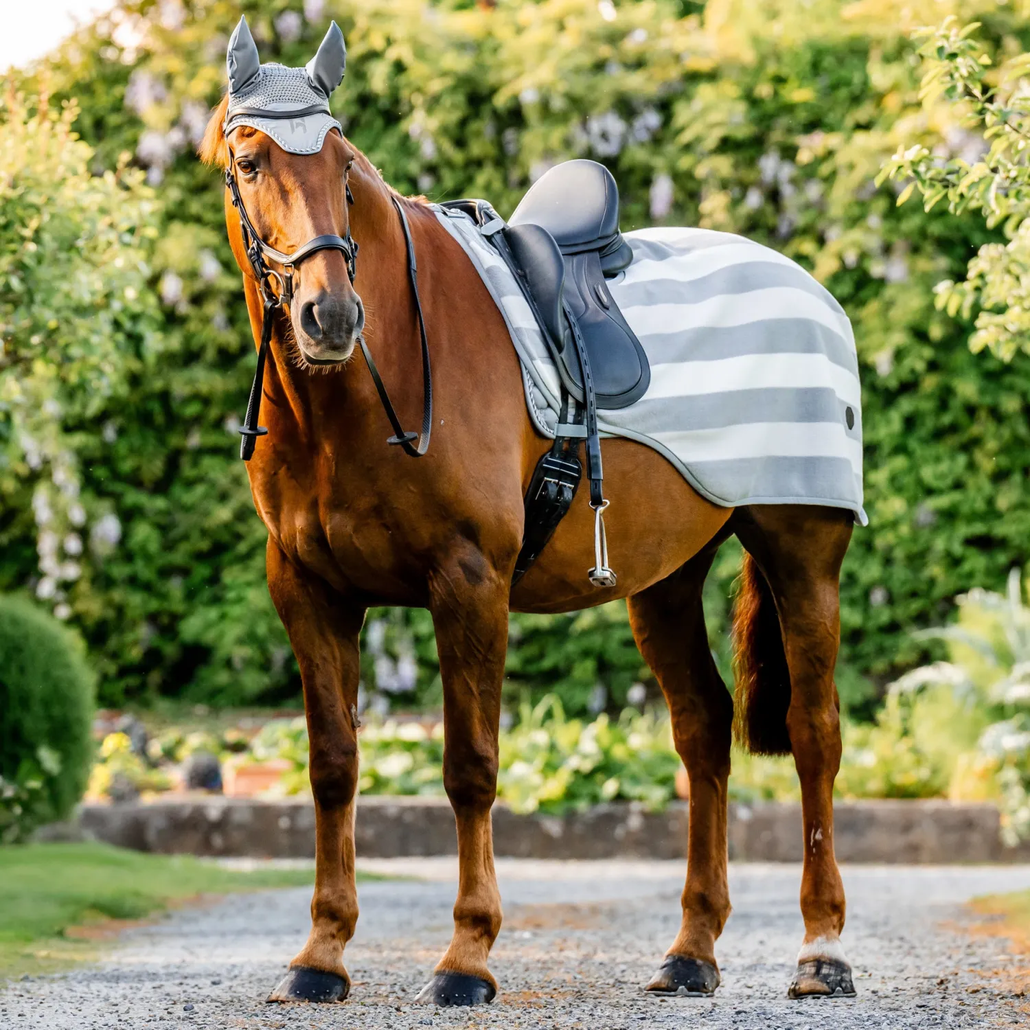 Sale HORSEWARE ® Ireland Newmarket Exercise Sheet