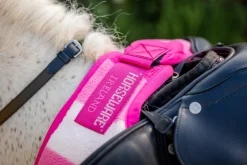 Sale HORSEWARE ® Ireland Newmarket Exercise Sheet