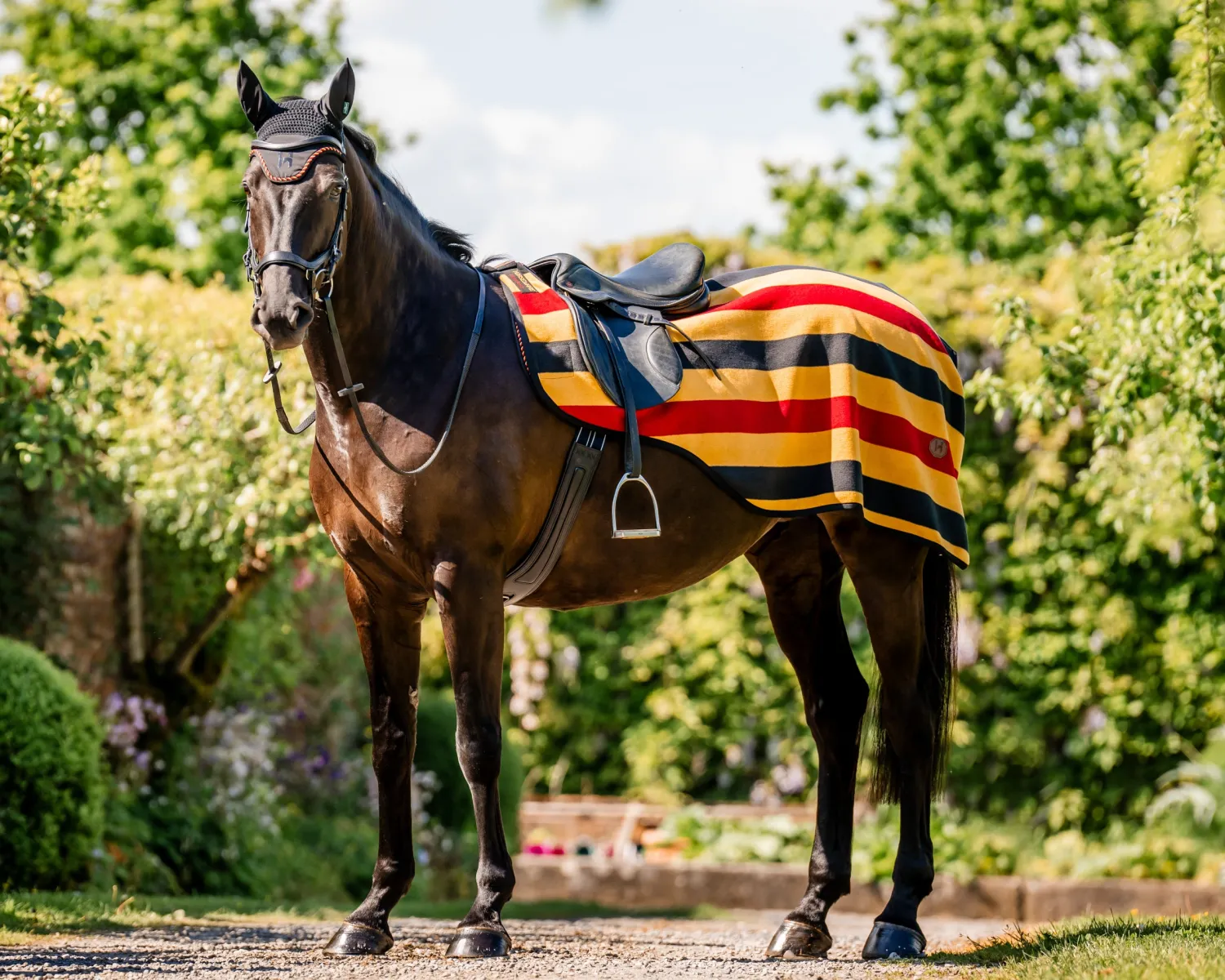 Sale HORSEWARE ® Ireland Newmarket Exercise Sheet